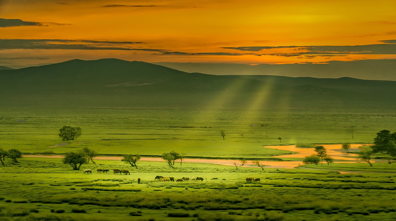 mongolia, grassland, twilight-5072882.jpg