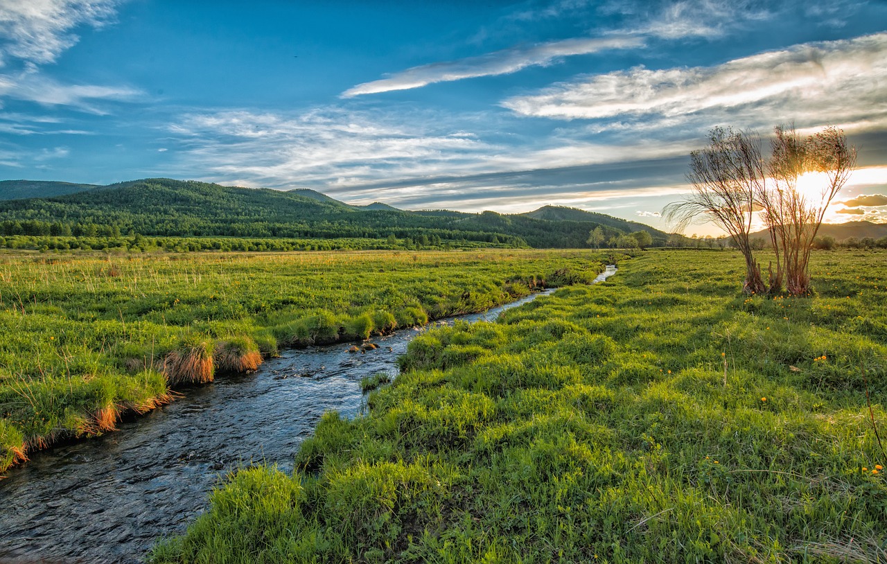 sunset, stream, green meadow-2377259.jpg